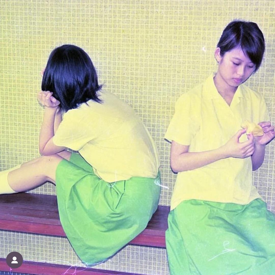 青苔菜园