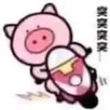 突突猪