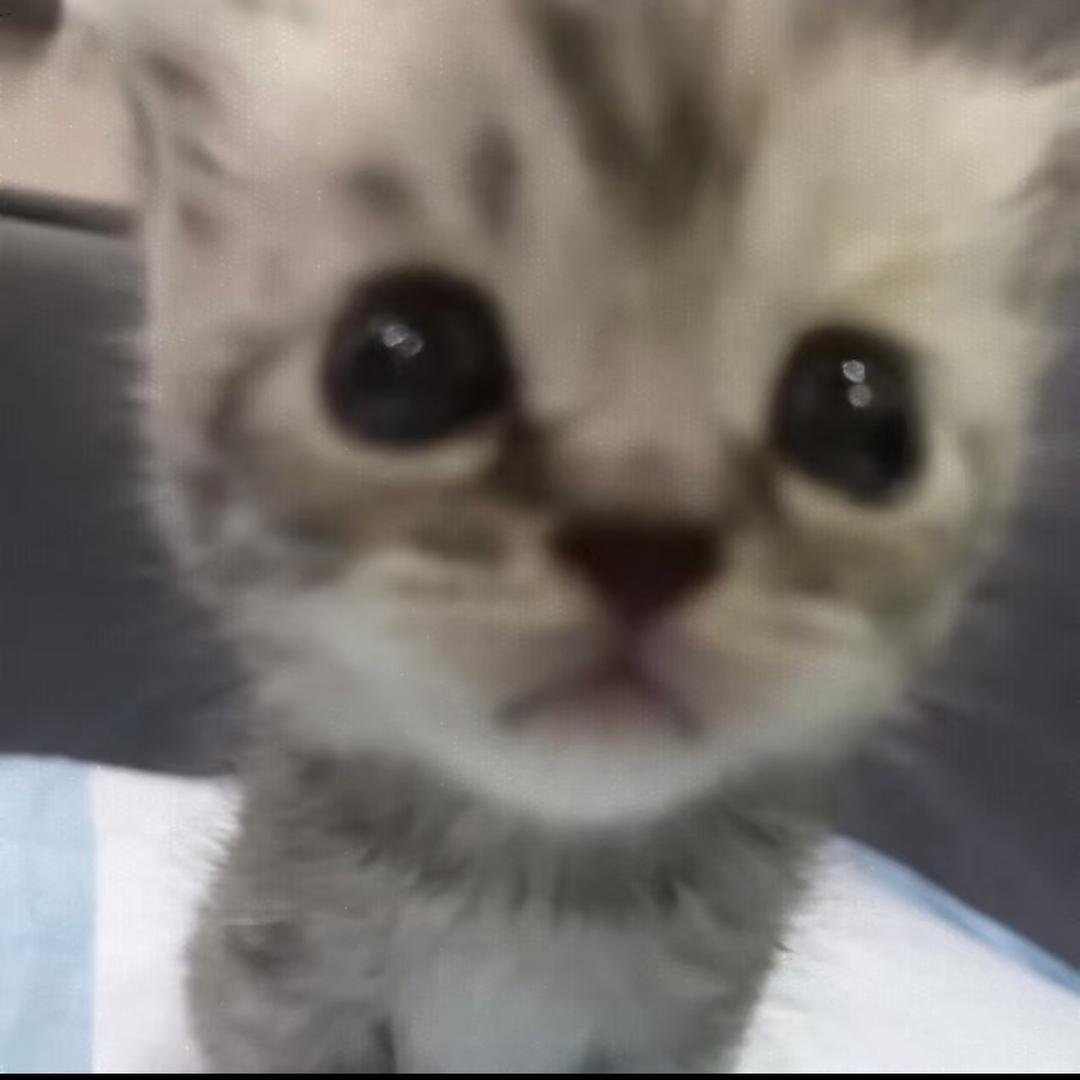 兄弟给我法一下