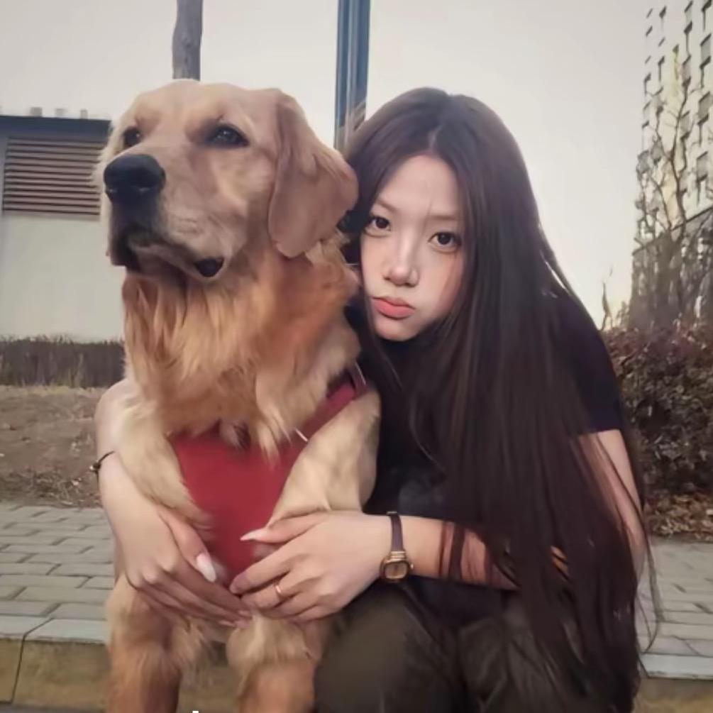 不会说情话.