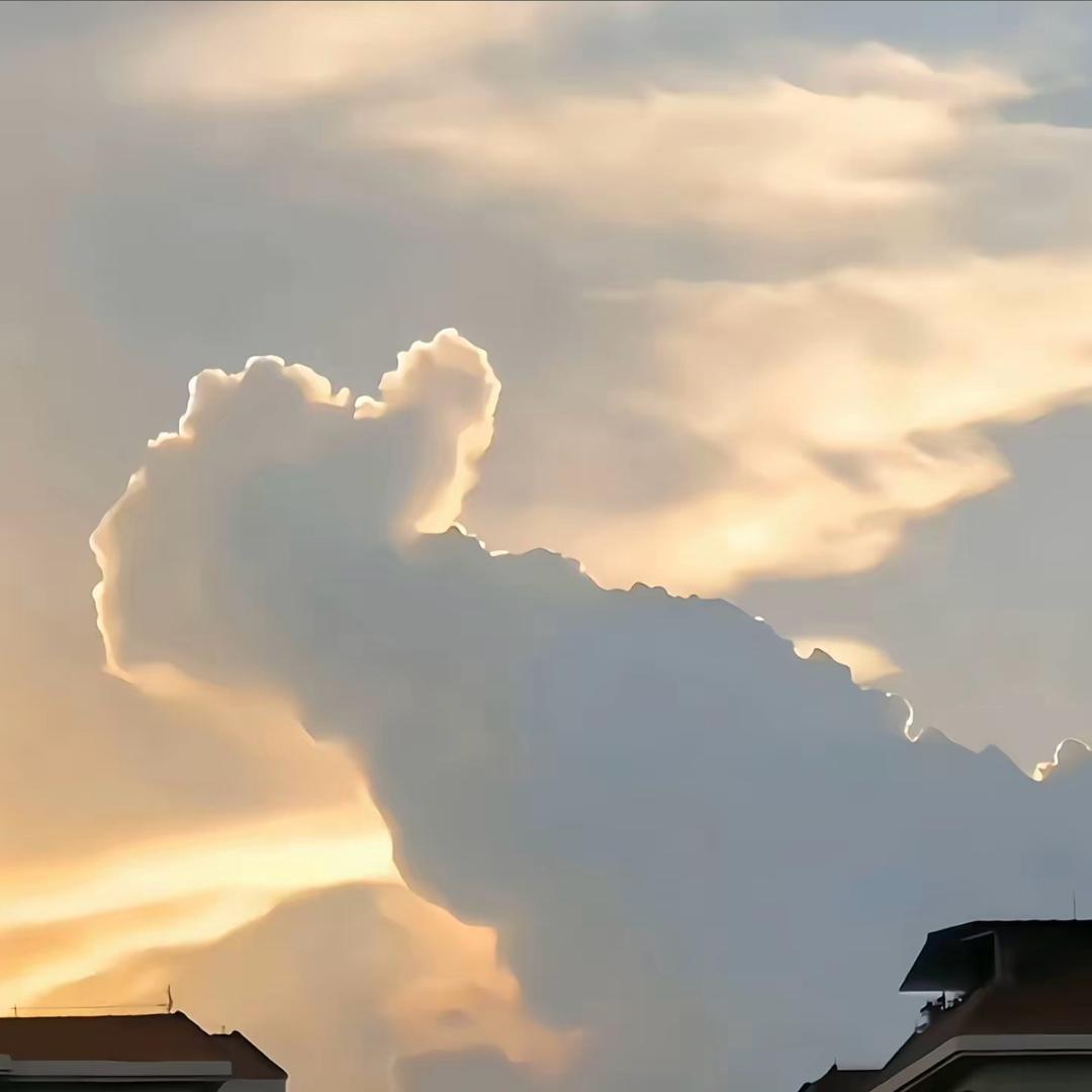 哈哈哈哈哈哈哈哈哈哈哈