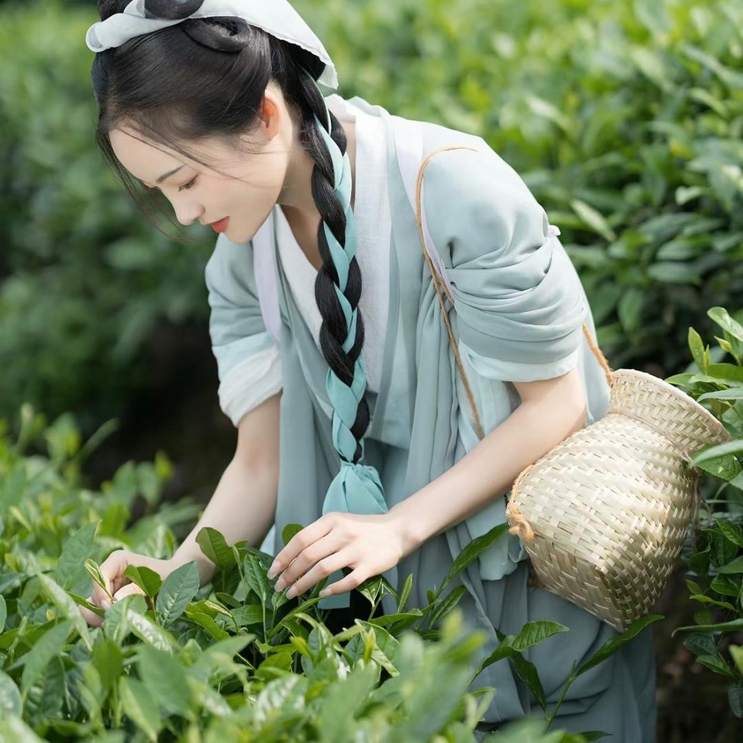 贵州湄潭雀舌茶仓