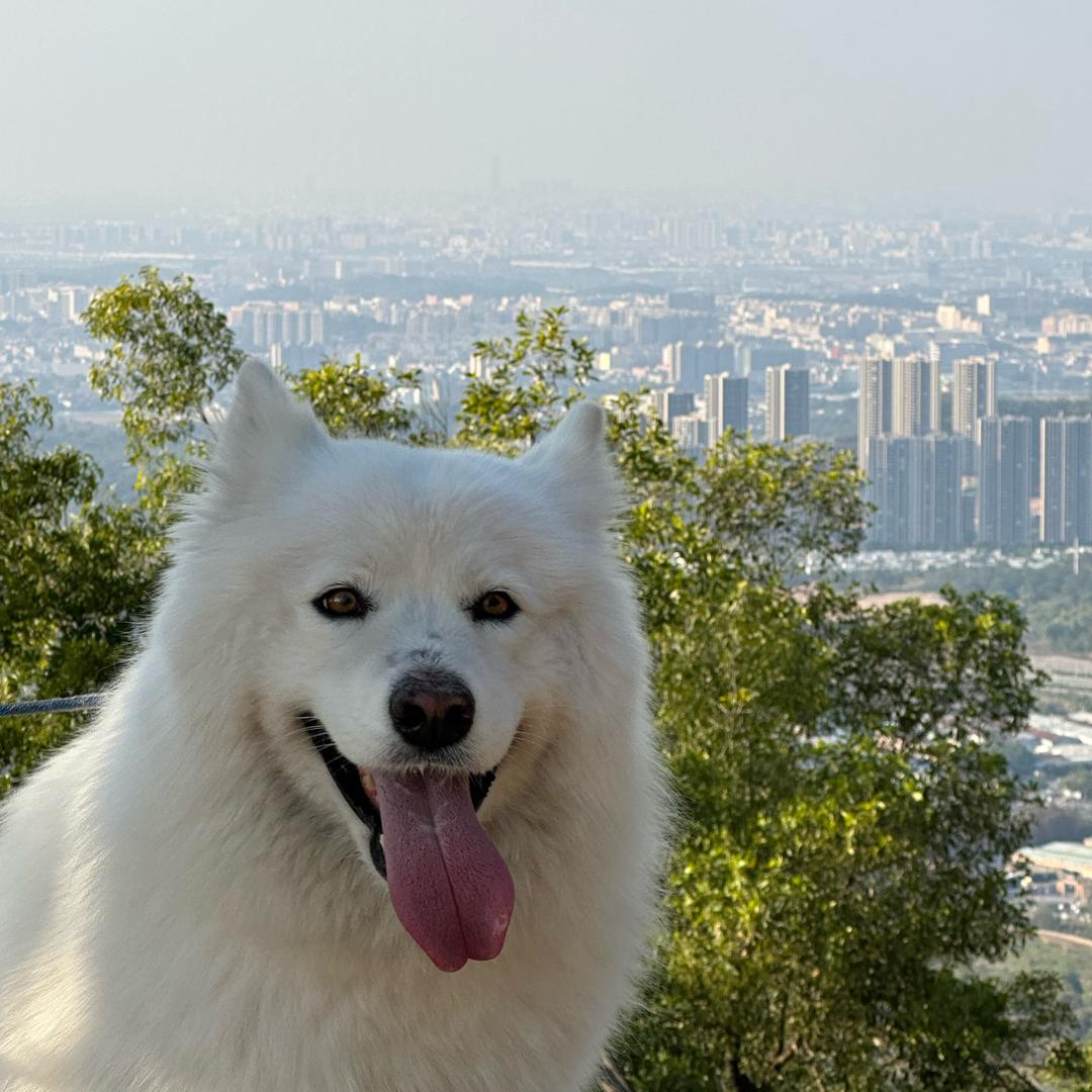 小谭的一天