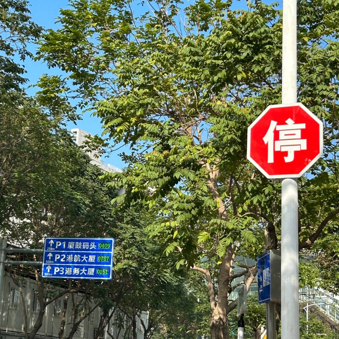 岛屿。