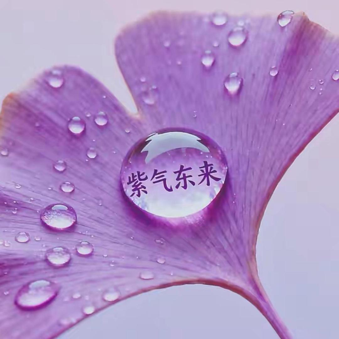 岚岚🌾
