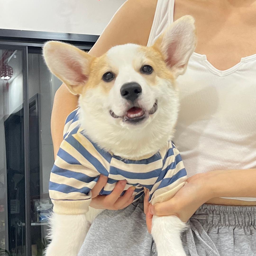 口哨不是吹的