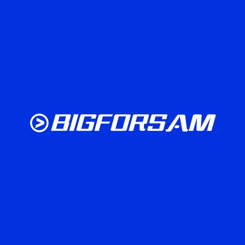 BIGFORSAM服饰旗舰店