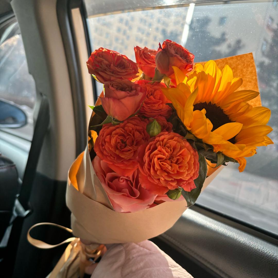 公考钮祜禄-苏苏