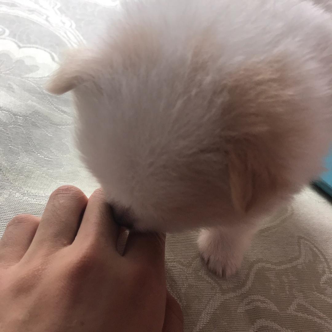 东东❤️