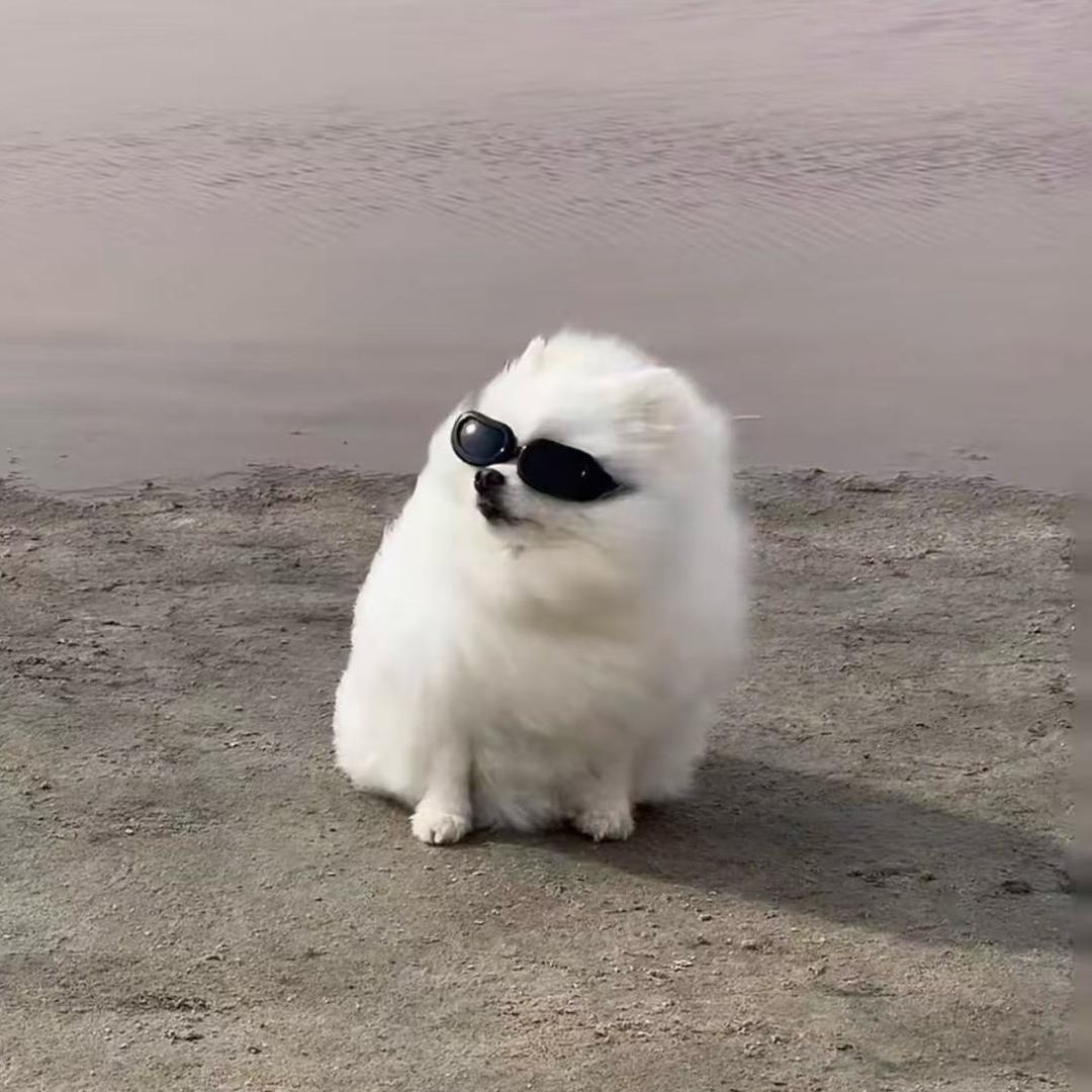 七月七