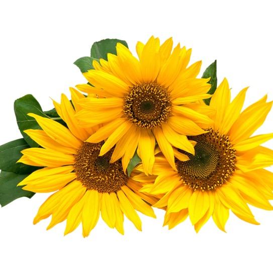 瑞宇～临钢二区