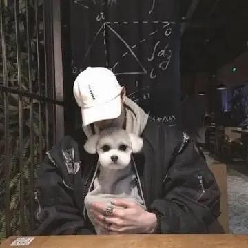 心变