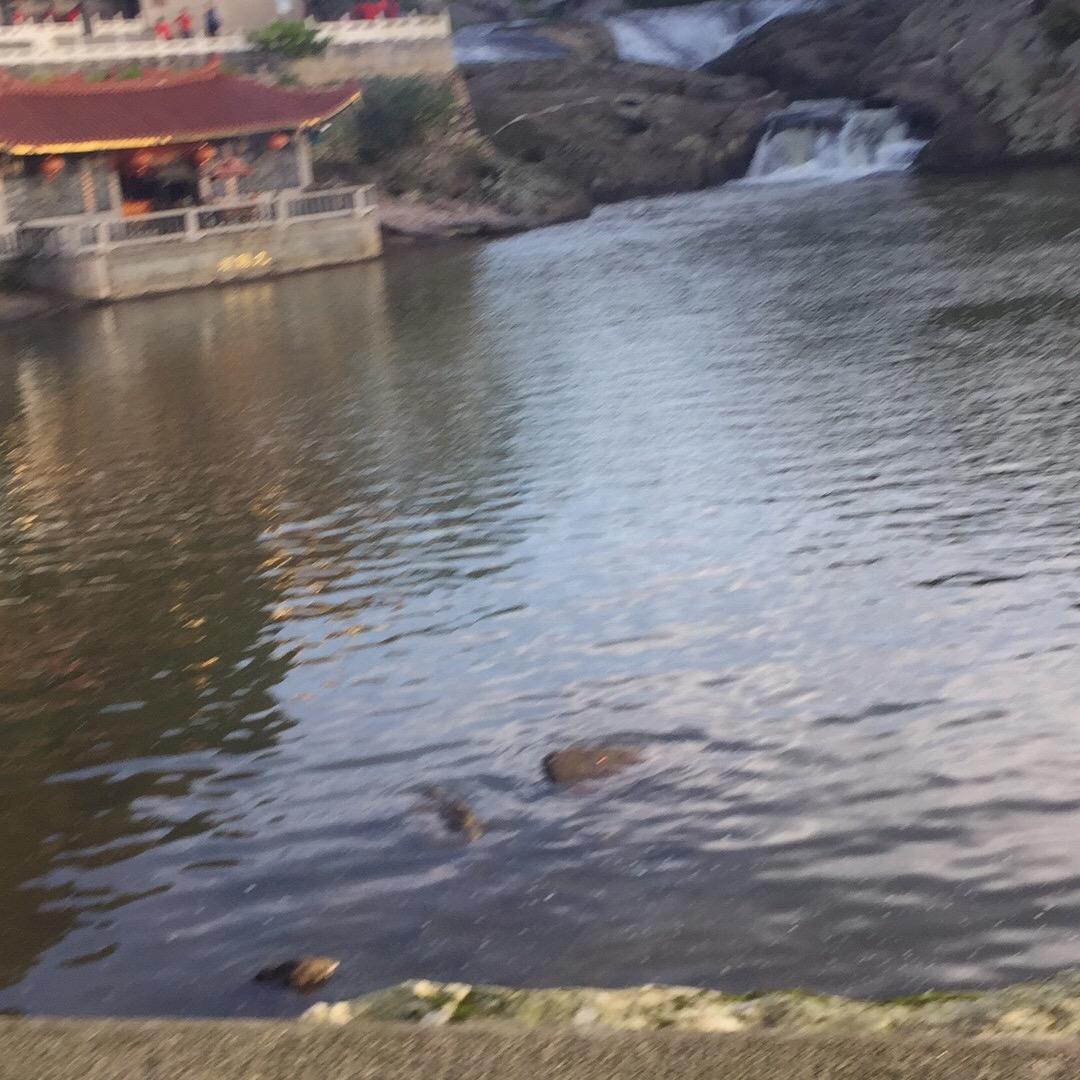 为爱相伴