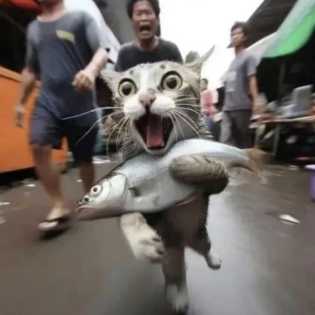 K_🐒