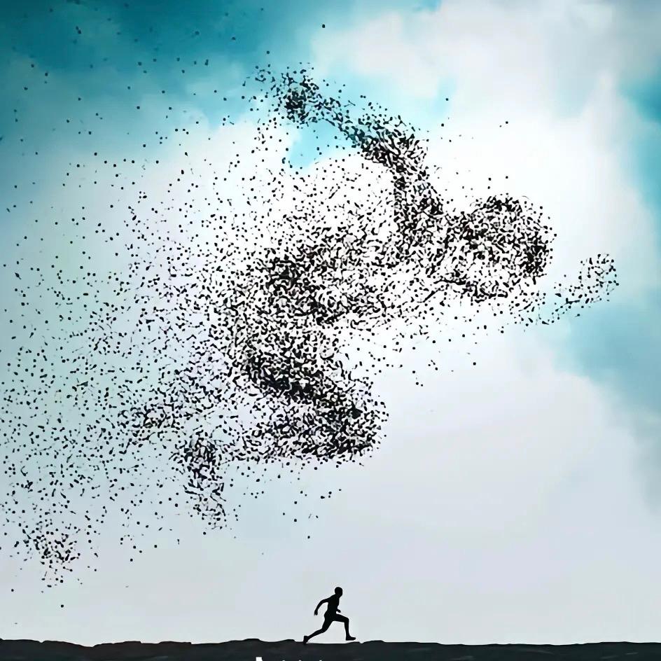 @爱跑步的小跑吒🏃🏻‍♂️