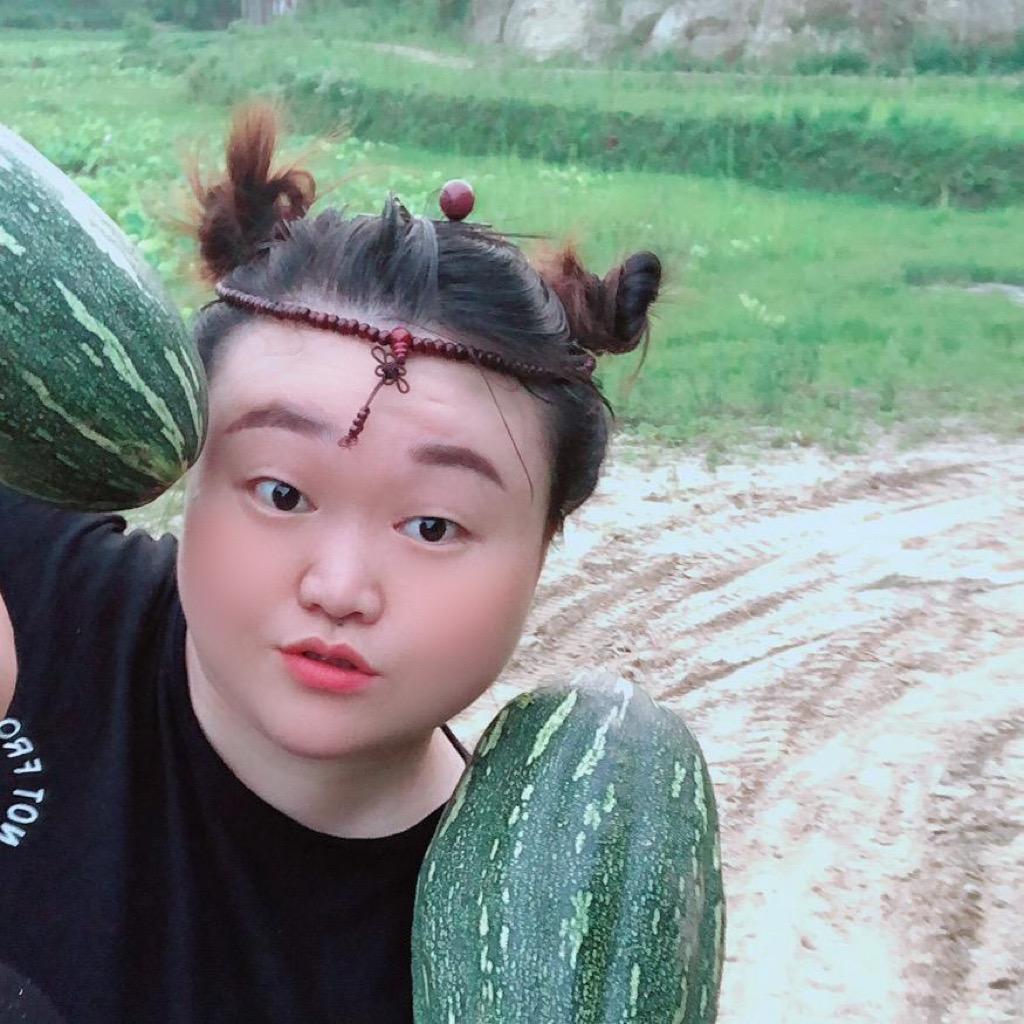 肥宝