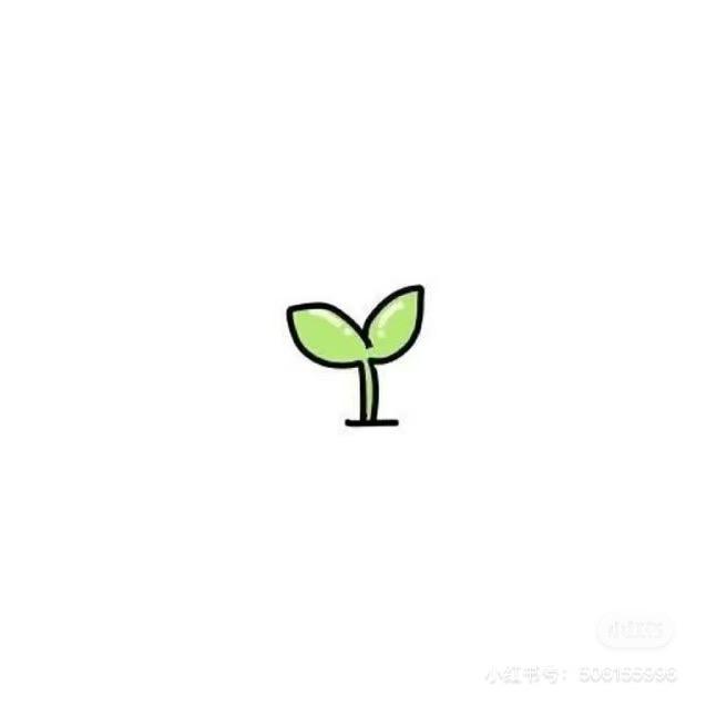 山东·升学规划