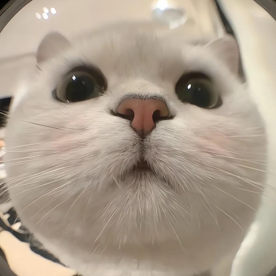 攸攸（主机版）