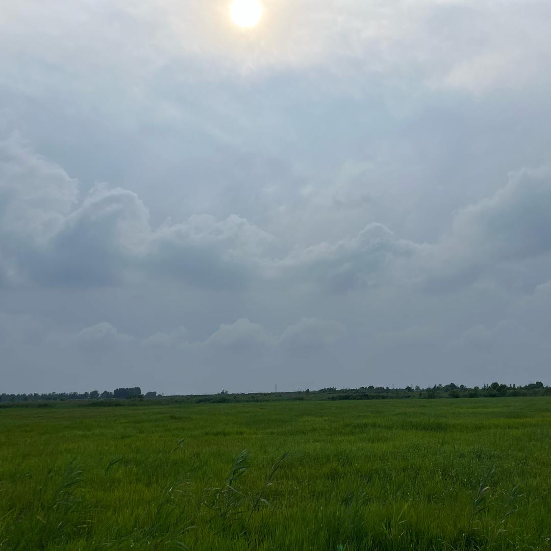 🀄️🀄️🀄️