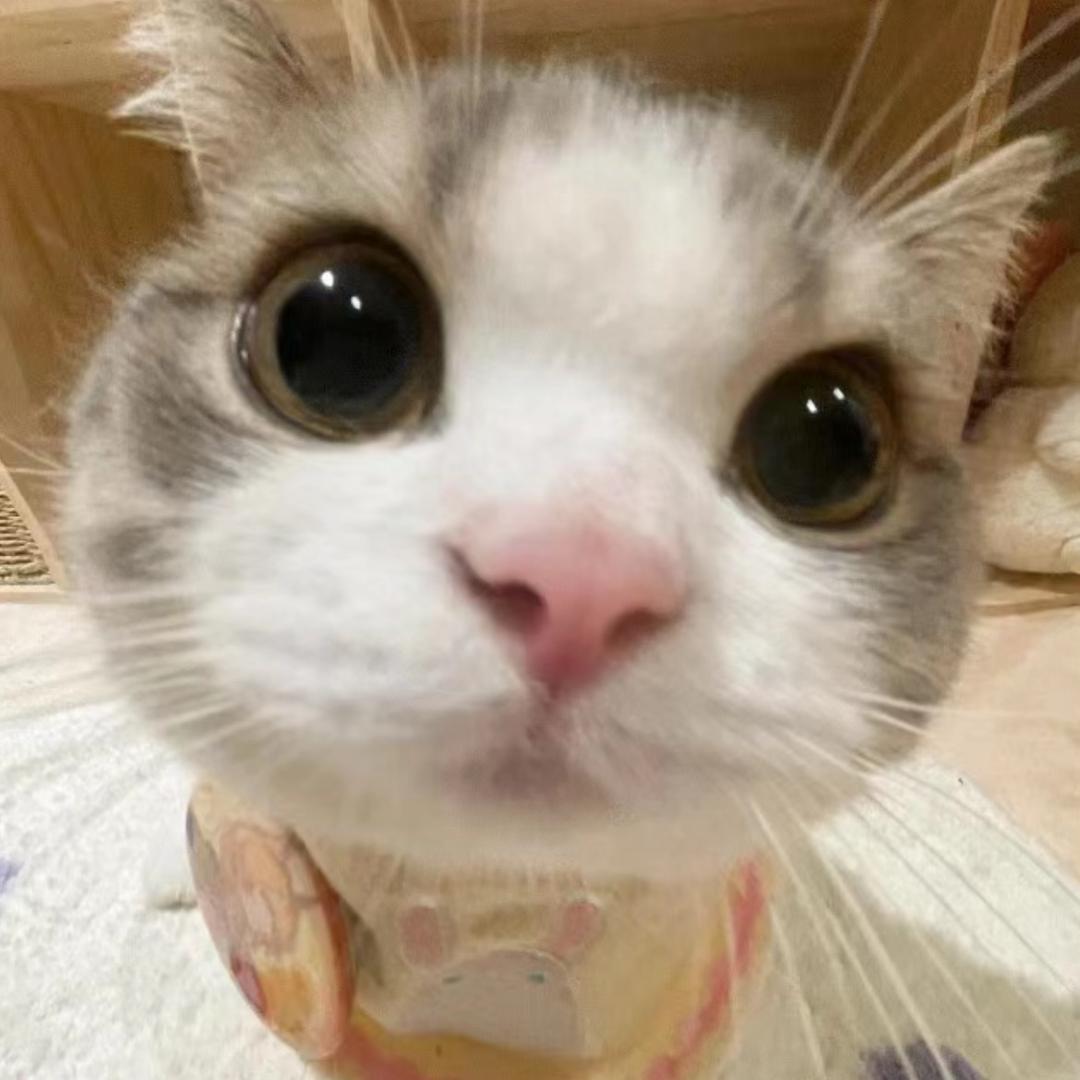 维他柠檬茶