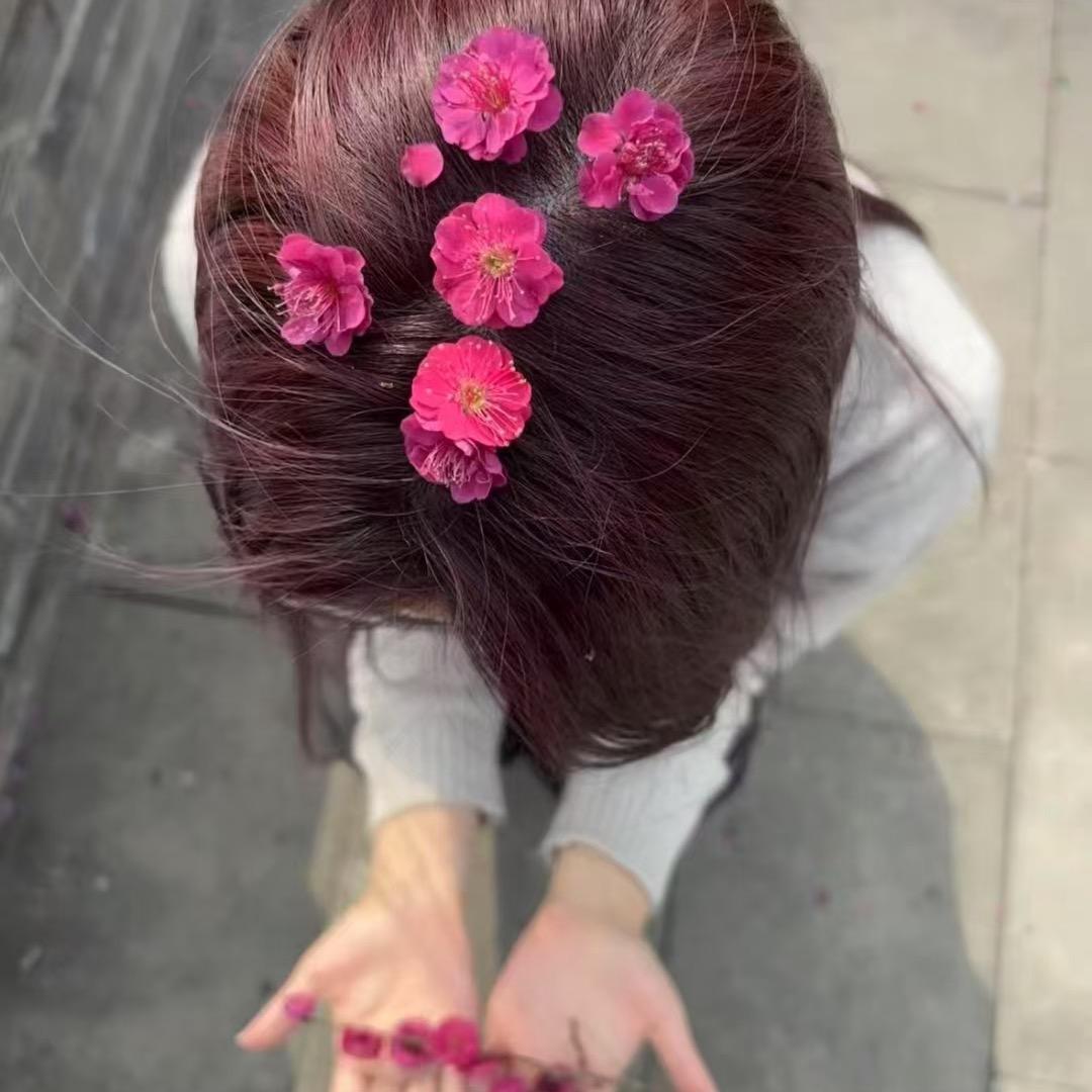 小雅.