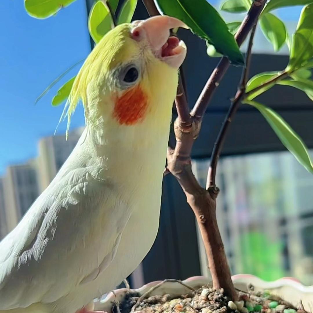 多多宝宝
