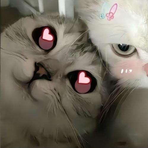 有点迷迷😴