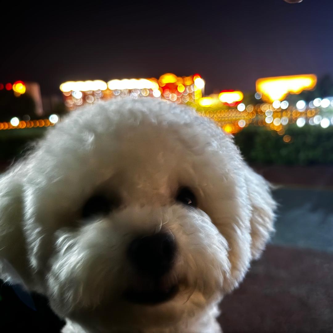 LIU嘚柱