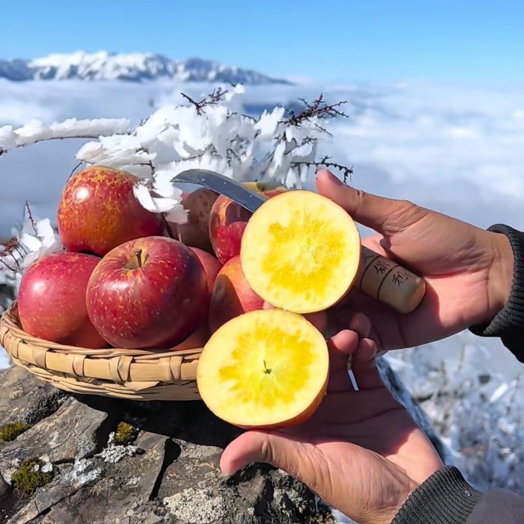 清新果味🍎
