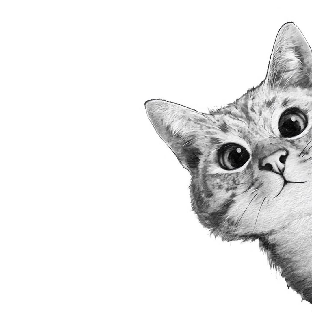 炉石传说-J先生