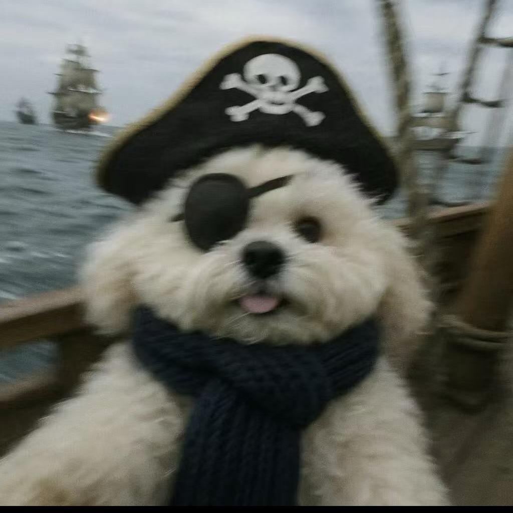 带着海盗捡贝壳