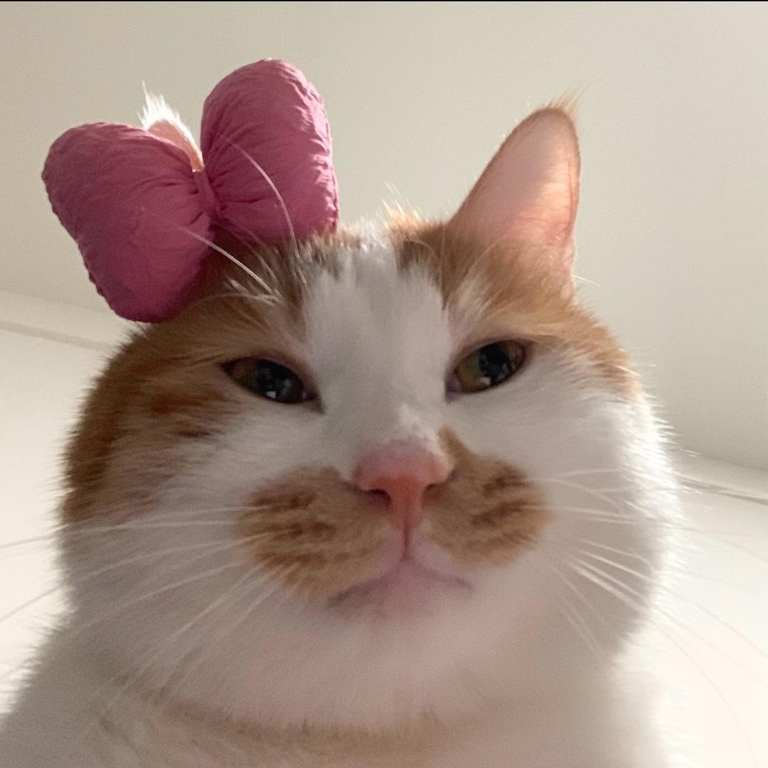LLU