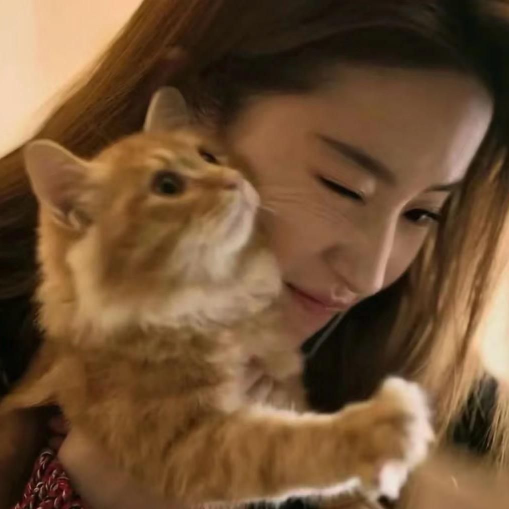 一只小羊生煎
