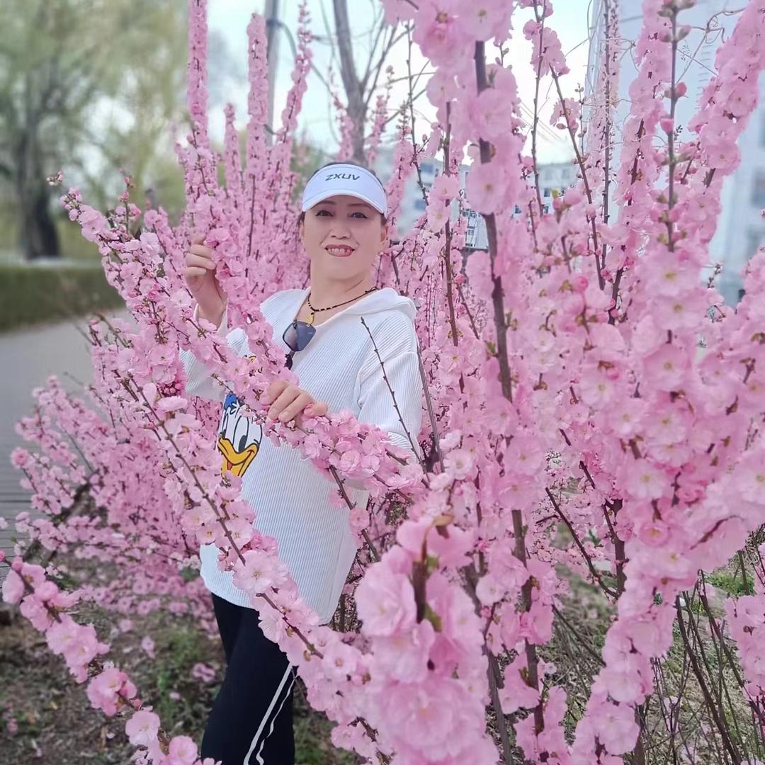 铁樱姐