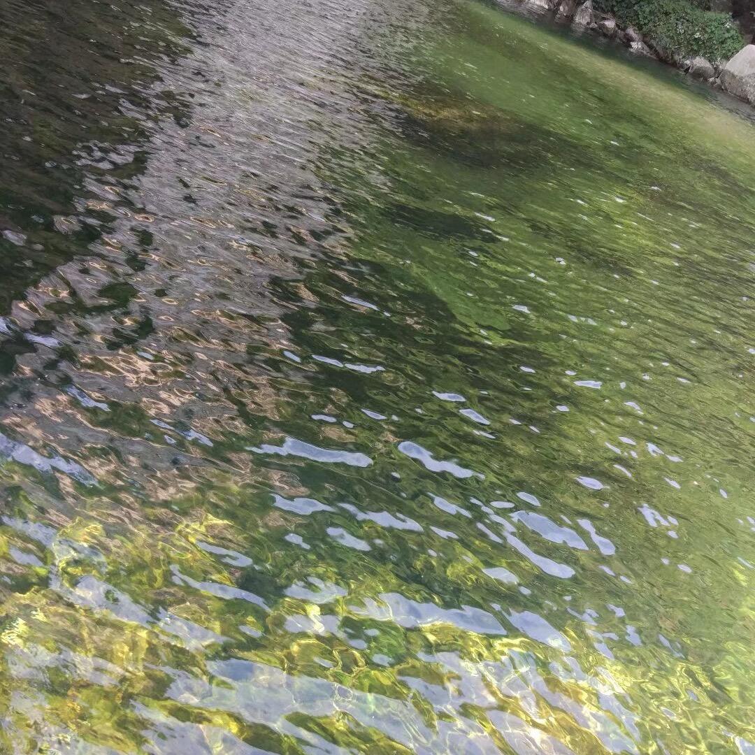 嗯嗯嗯