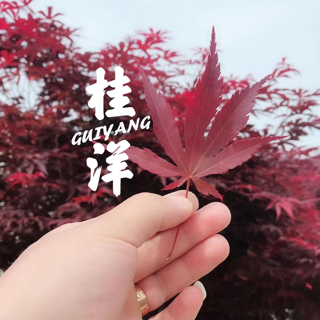 J先生🧑‍🏫