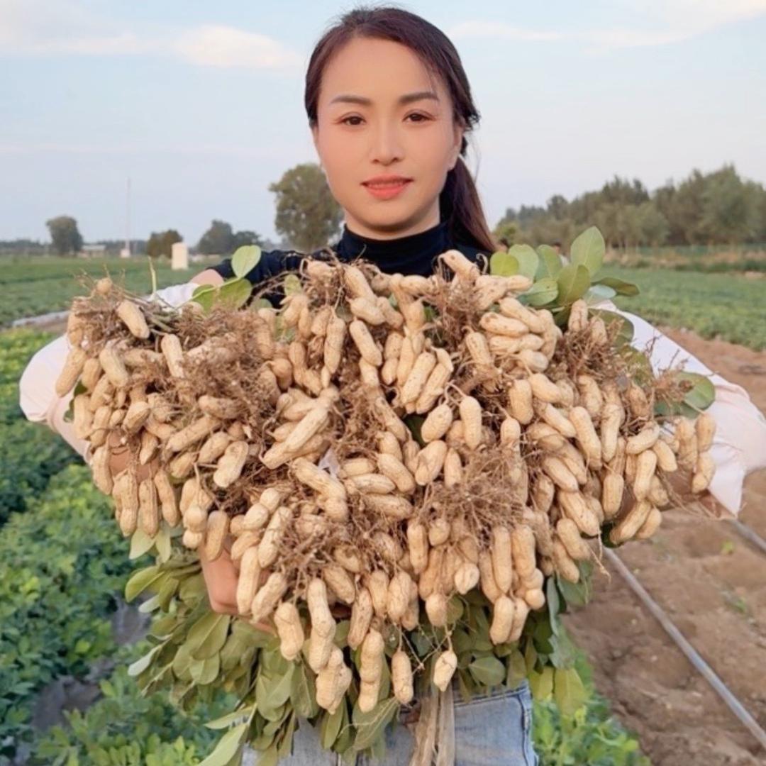 农田凤姐