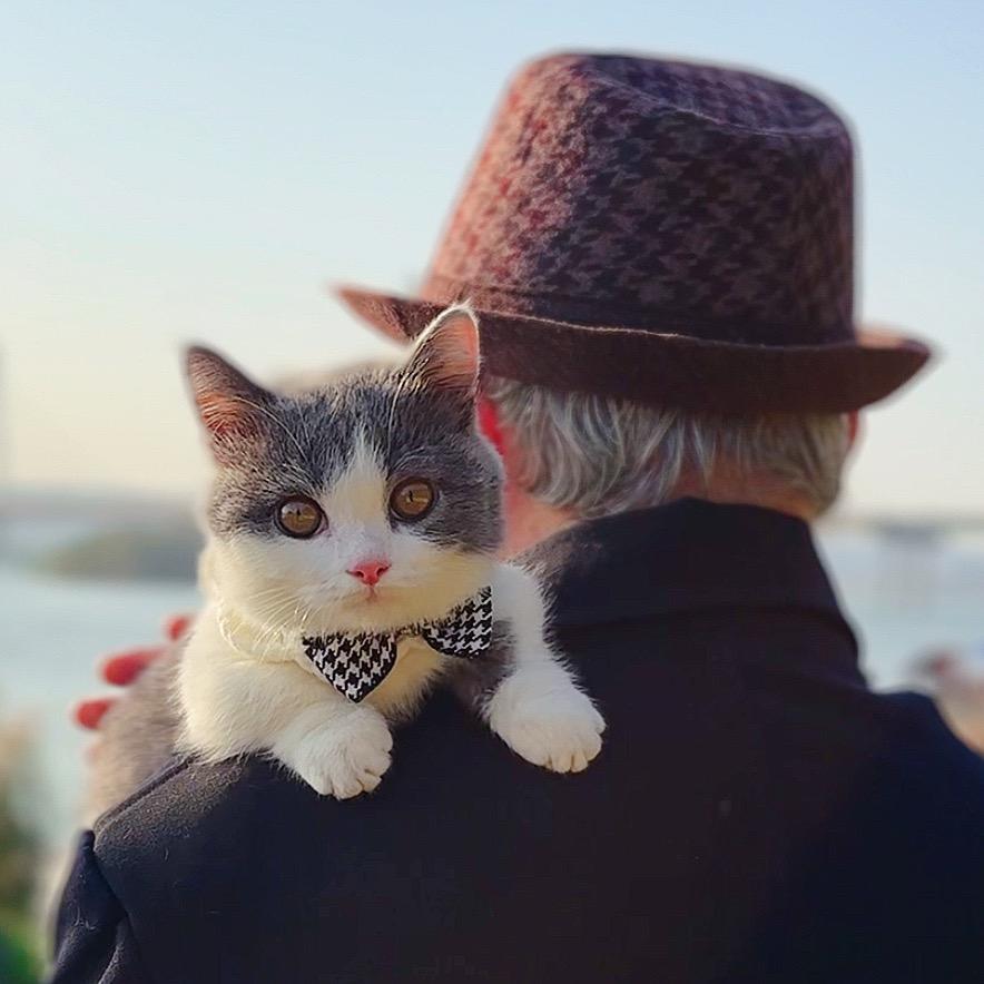 姥爷的猫