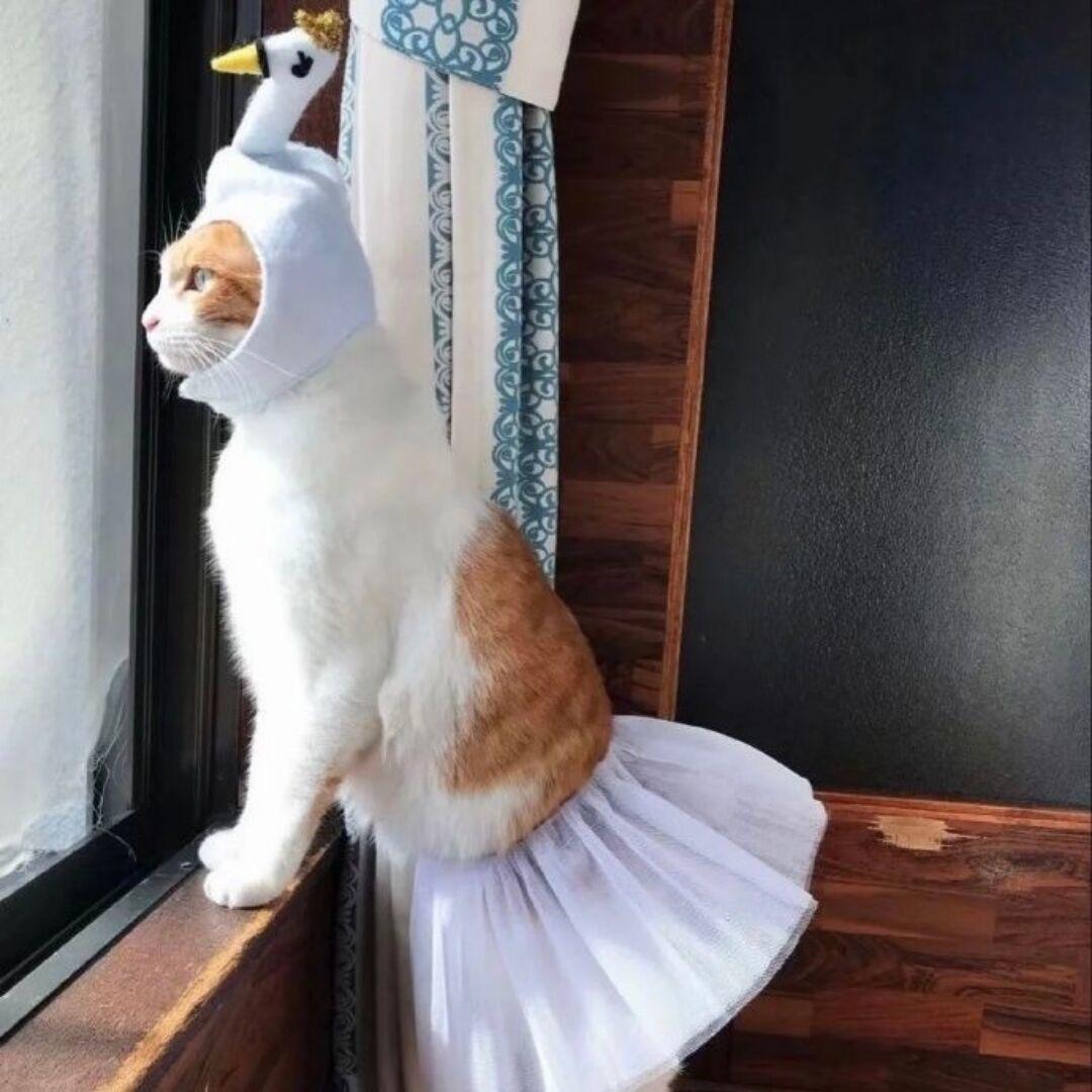 OOO