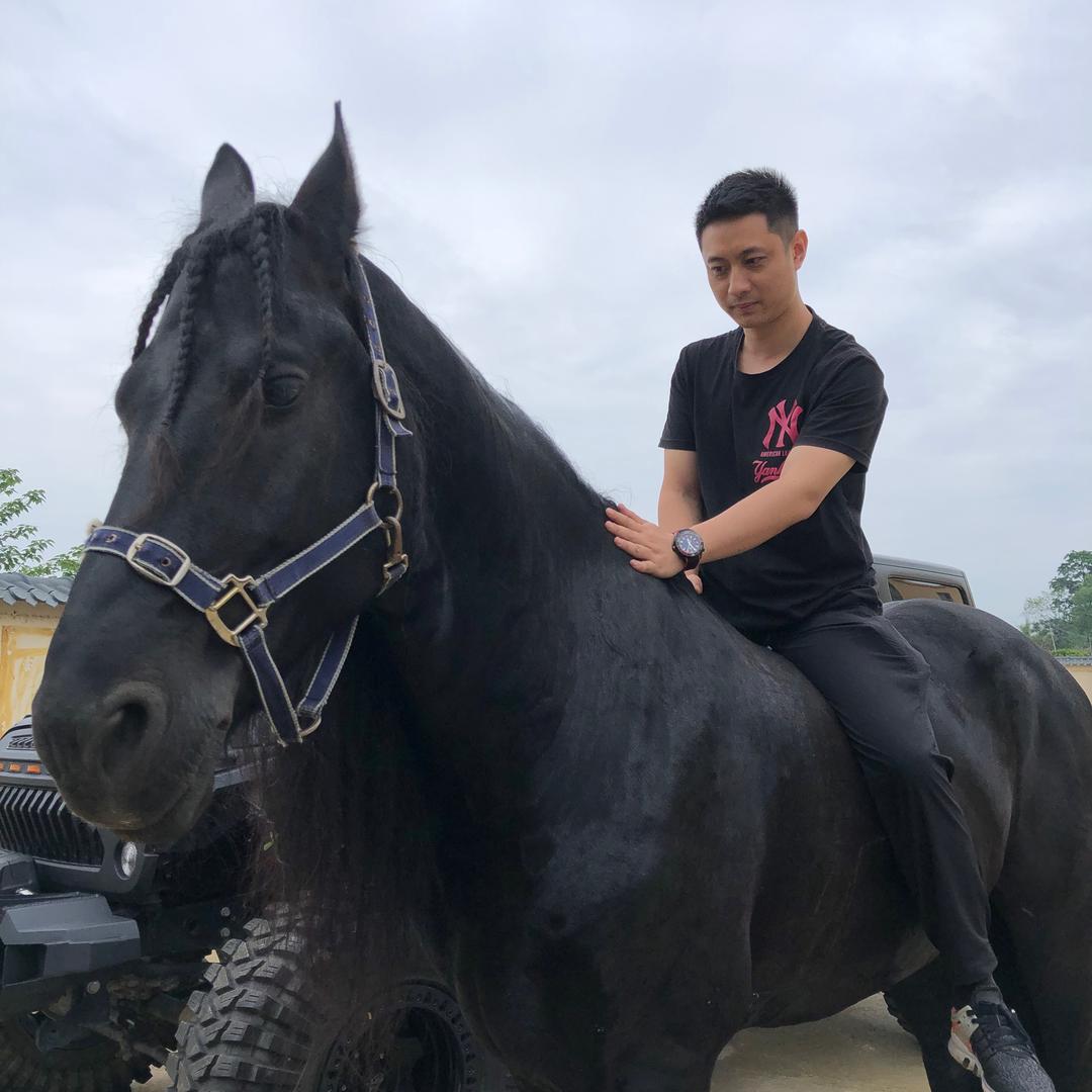 陆峰（江城往事）