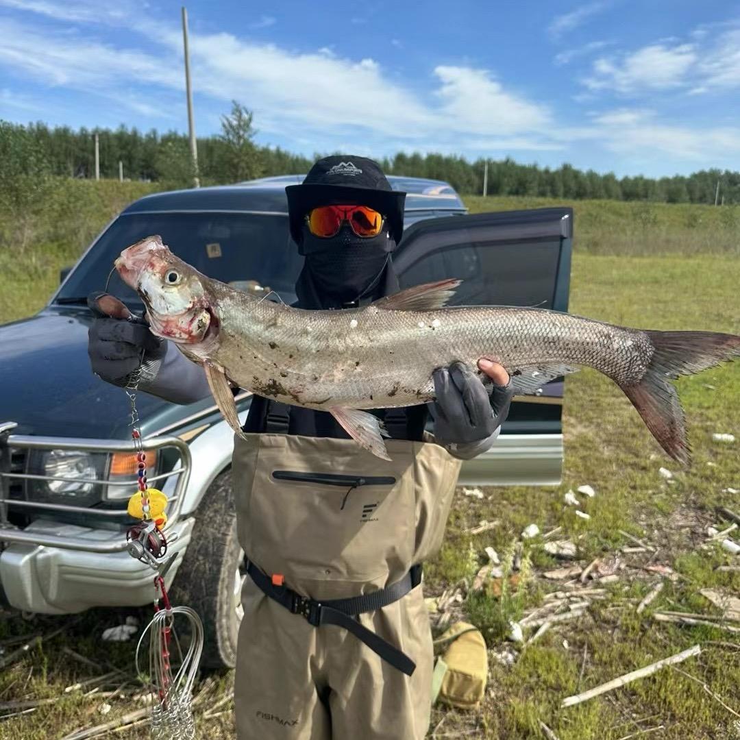 文博🎣