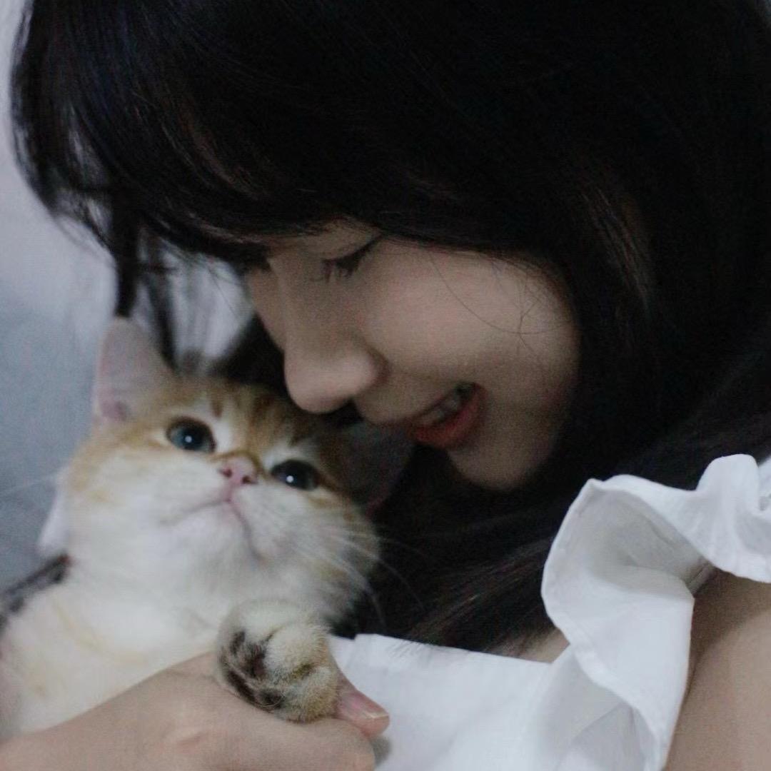 菜菜cc