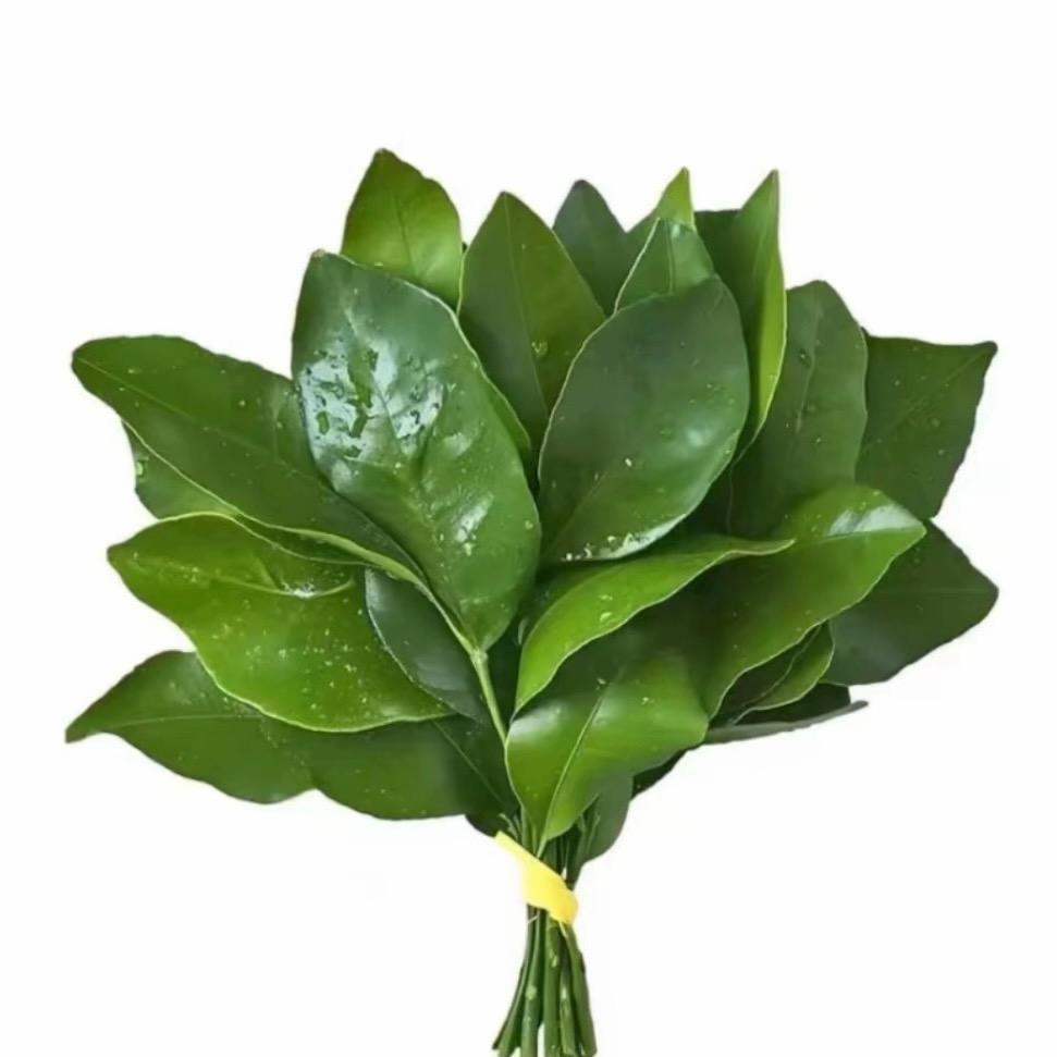 小练子