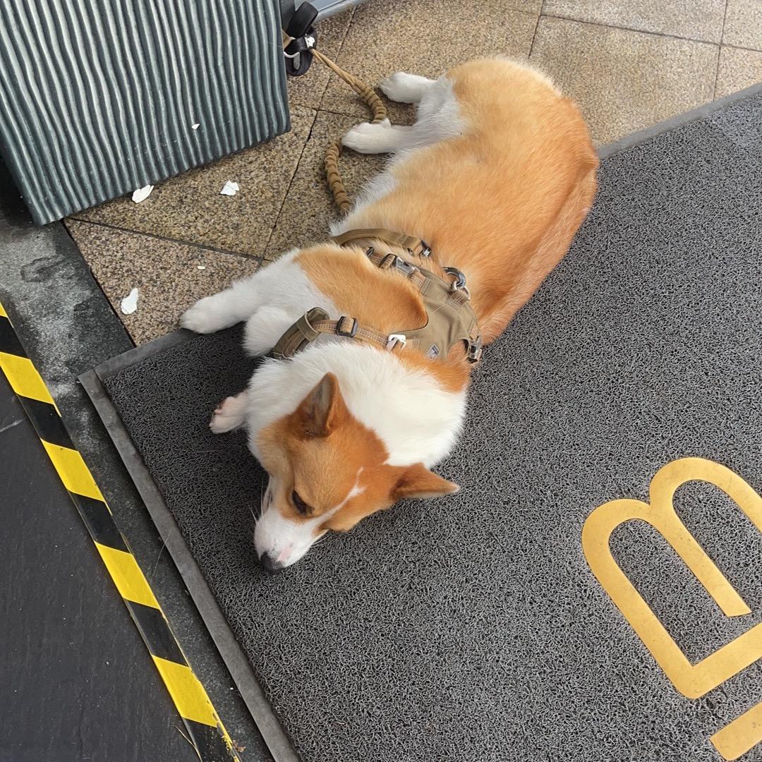 bb的bb