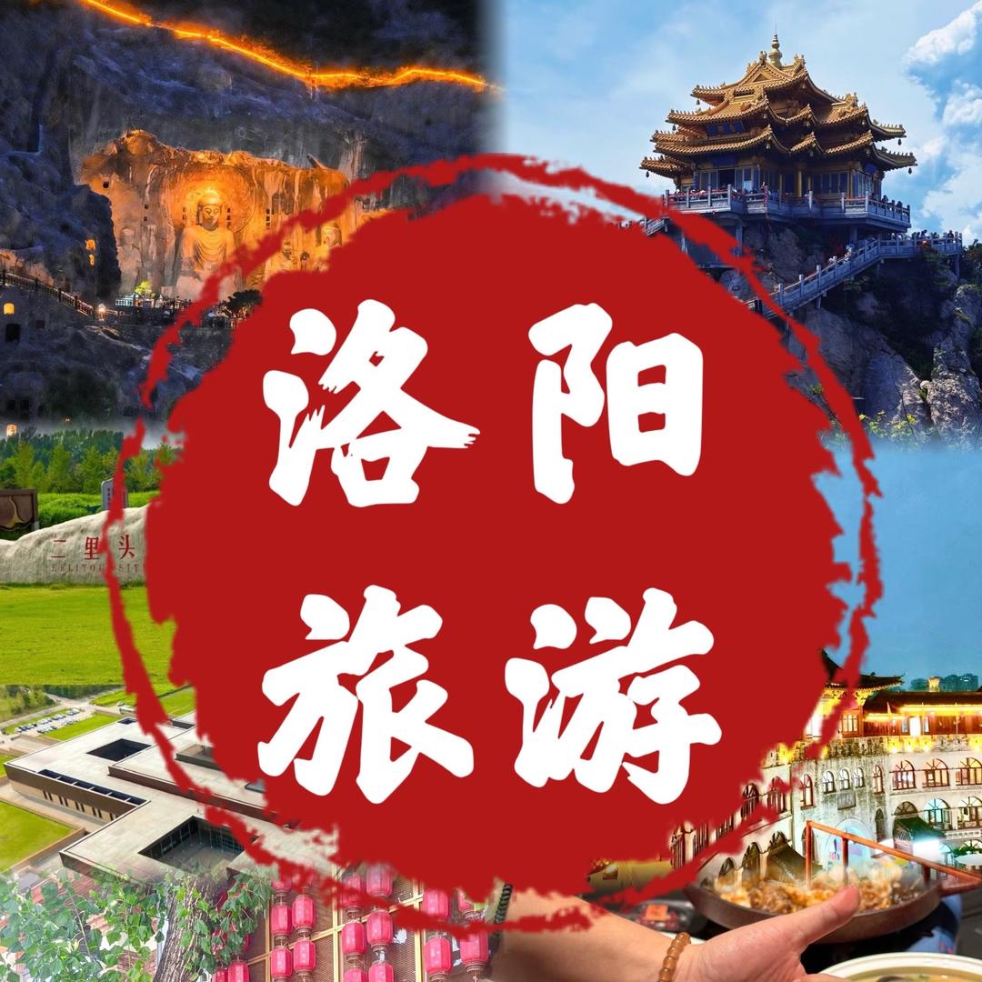 洛阳出游专场✈️