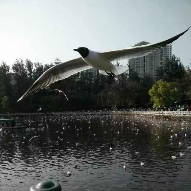 无法连接