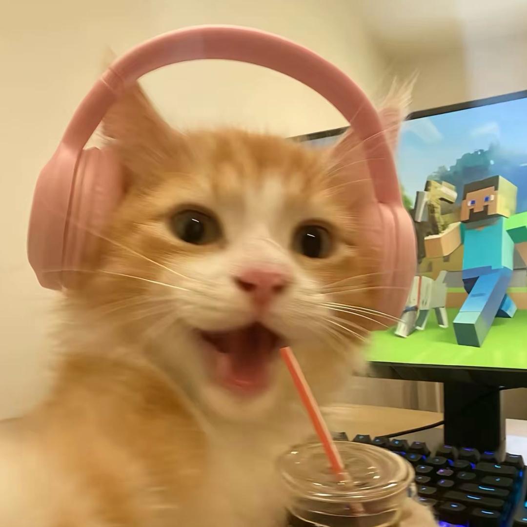 冤大头(•͈˽•͈)