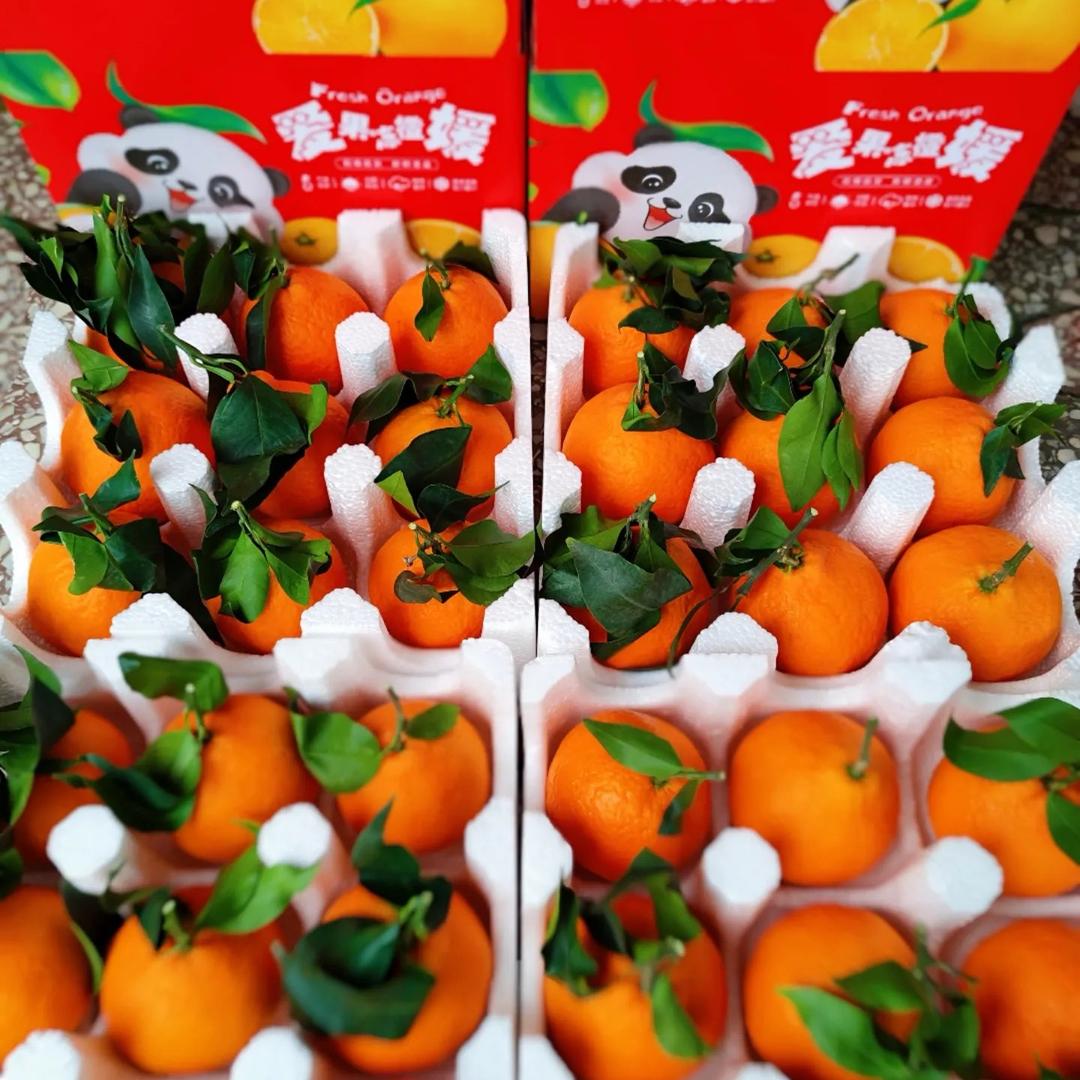四季果仓🍊