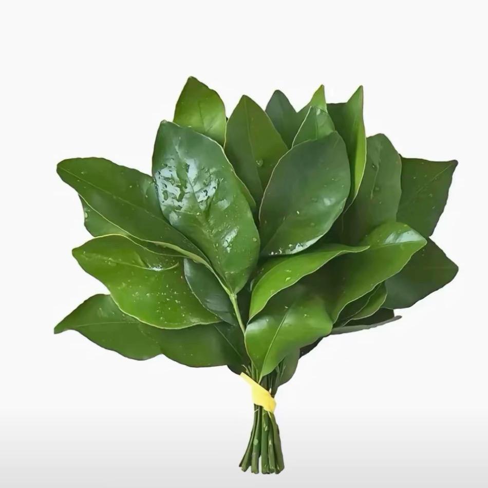 惹我别怪我发疯