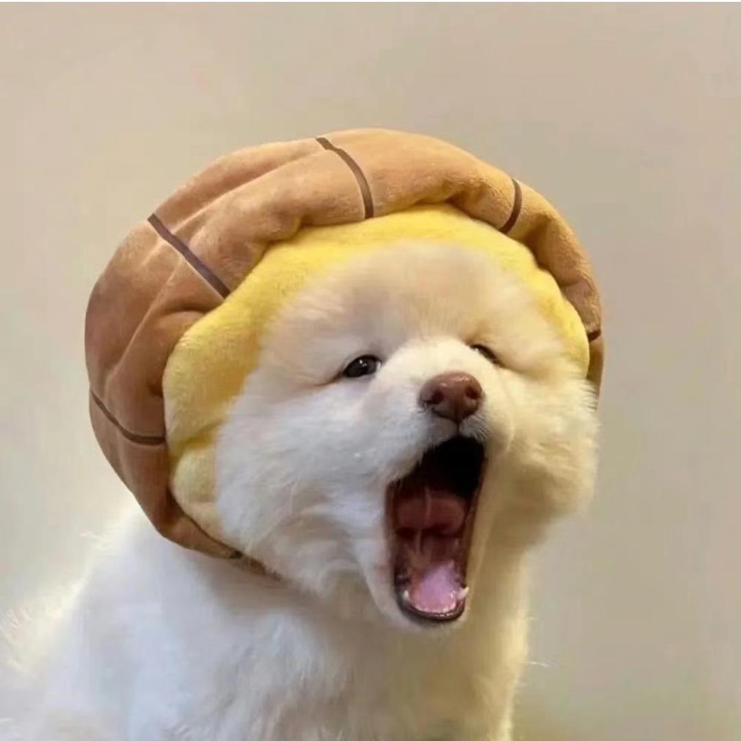 O泡O泡🫧